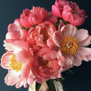 Meet your Posher, Angie